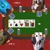 Texas holdem poker